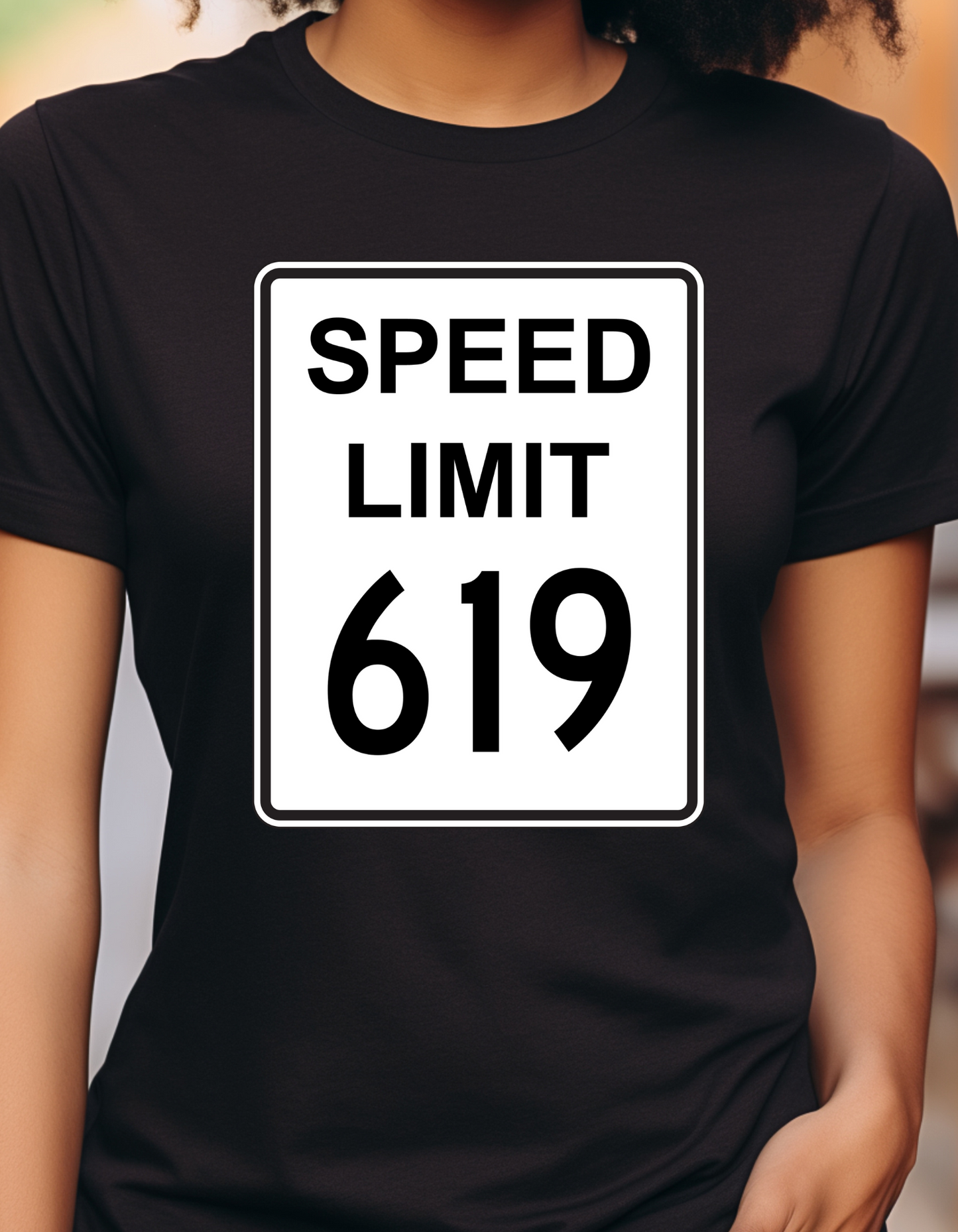 SPEED LIMIT 619